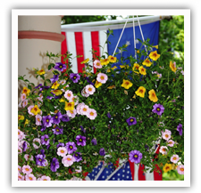 Beautiful flowers on the Puffin Porch in Cape May
